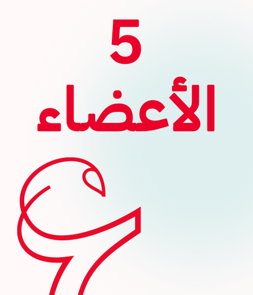 اللجنة التنفيذية